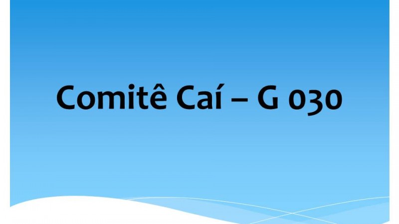 Comit&ecirc; Ca&iacute; &ndash; G 030