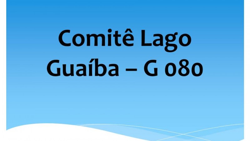 Comit&ecirc; Lago Gua&iacute;ba &ndash; G 080