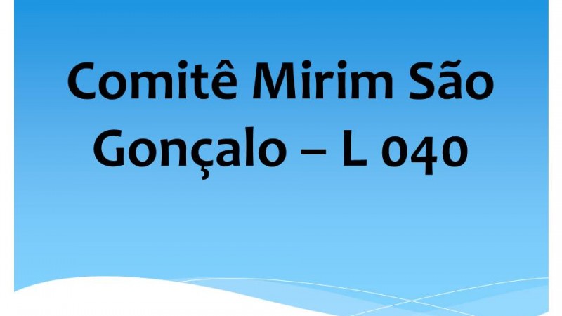 Comit&ecirc; Mirim S&atilde;o Gon&ccedil;alo &ndash; L 040