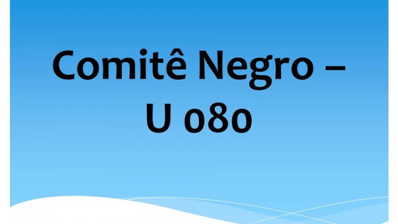 Comit&ecirc; Negro &ndash; U 080