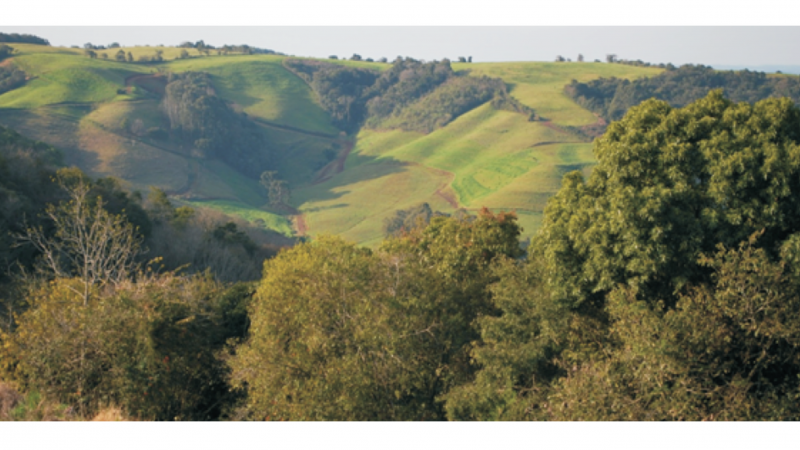 Paisagem na Bacia Hidrogr&aacute;fica dos Rios Apua&ecirc;-Inhandava