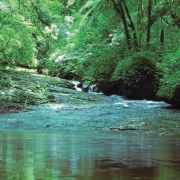 Nascente do Rio dos Sinos em Cara&aacute;