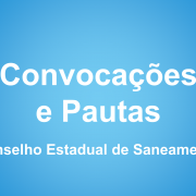 Convoca&ccedil;&otilde;es e Pautas - CONESAN