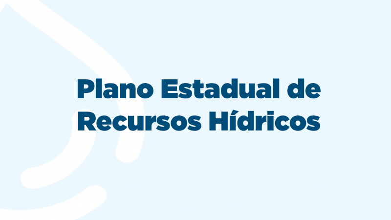 Plano Estadual de Recursos H&iacute;dricos