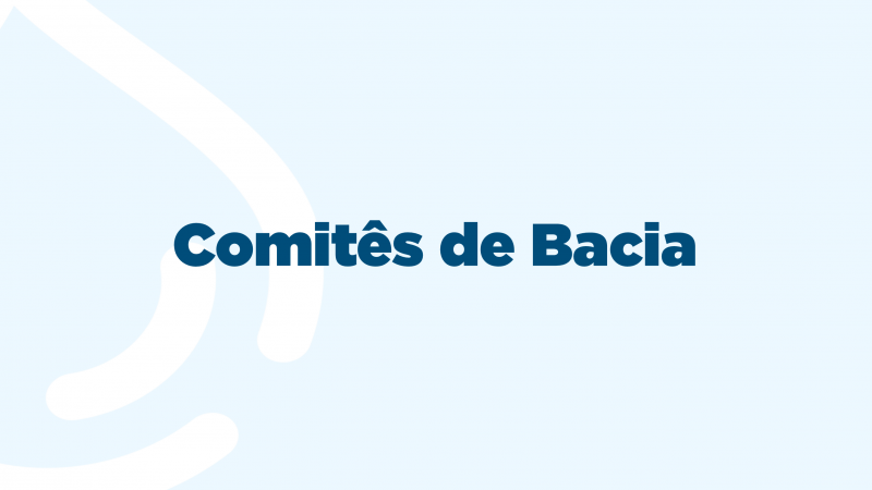 Comit&ecirc;s de Bacia