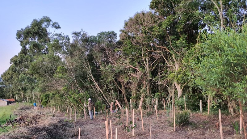 Projeto de restaura&ccedil;&atilde;o Aldeia Anhetengua-POA