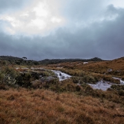 Paisagem do PAT Planalto Sul, com campo de cima da Serra, ao fundo a floresta com araucária e um dos cursos d'água da região