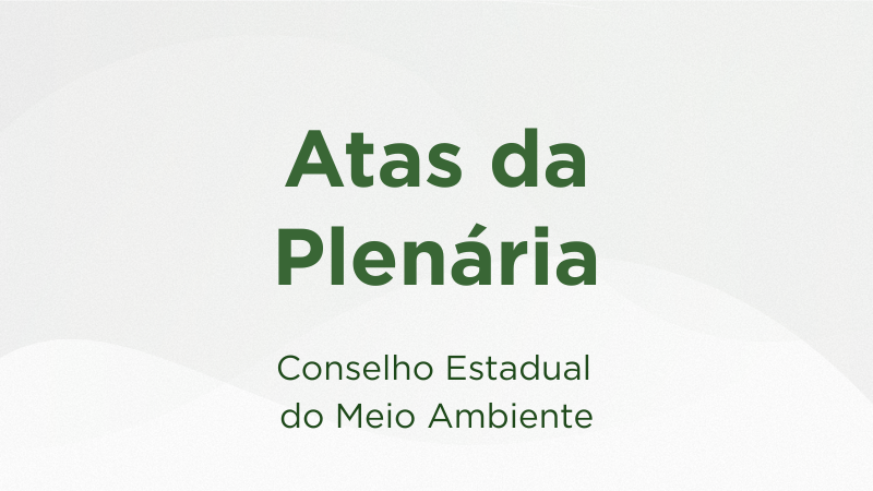 Conselho Gestor do FEMA (10)