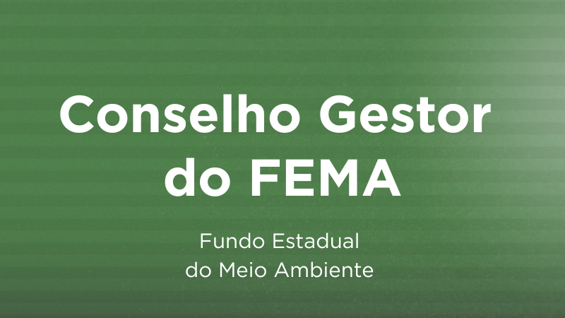 Conselho Gestor do FEMA (11)