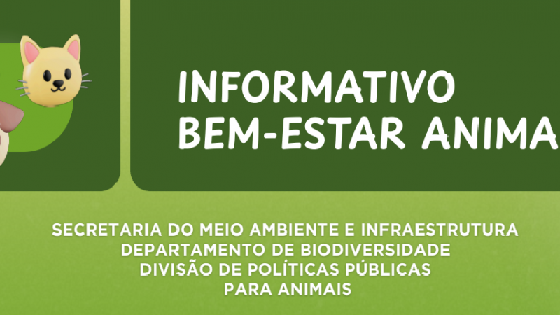 informativo
